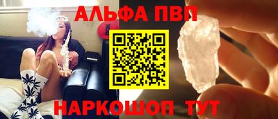 скорость Кингисепп