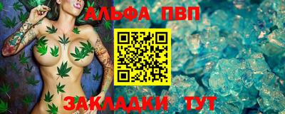 скорость Кингисепп