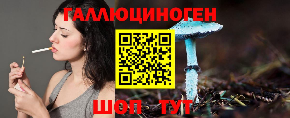 Псилоцибиновые грибы мухоморы Шали